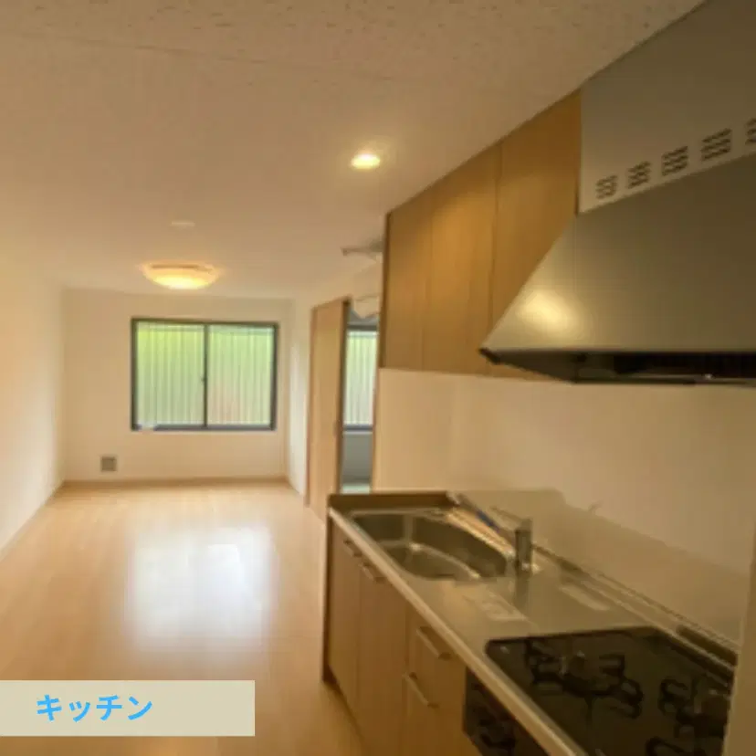2DKの広々としたお部屋/ペットと一緒に入居OK
