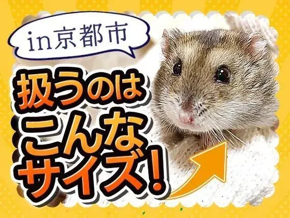 <住み込み求人>手のひらサイズ部品の製造!日払い・週払いOK!<京都府京都市>【30代・40代活躍中】の画像