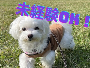 幅広い年代の方が活躍中!未経験から始めた方も多数!