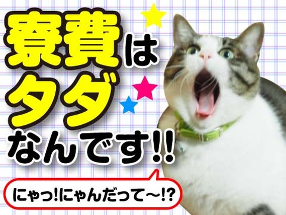 ＜大人気の関東エリア★川越市＞寮費無料！週休2日制！クリーンルームでの医薬品の製造・検査・梱包業務の詳細画像