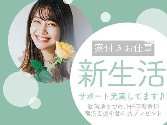 袋詰め・梱包!月収27.2万円!30代・40代が活躍中!<千葉県×寮付き求人>の詳細画像