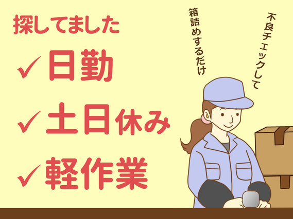自動車用塗装部品の目視検査等の軽作業/日勤土日休み/寮付きの詳細画像
